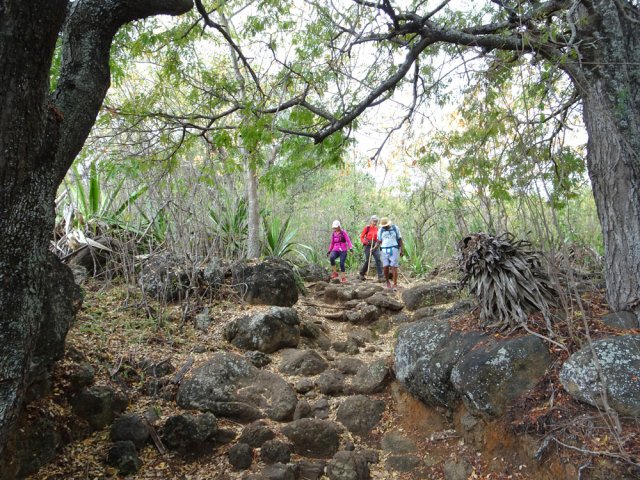 Une très vieille section pavée un peu défoncée par le temps et les passages