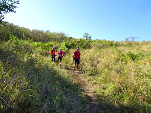 Un des sentiers aux alentours du Cap Lelièvre