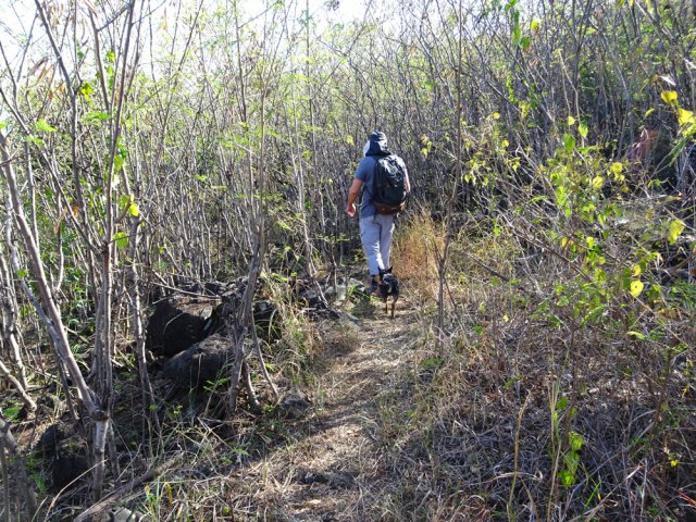 Vers un deuxième gué de la Ravine des Poux