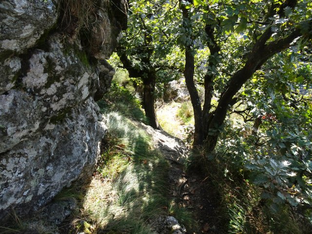 Le petit sentier descendant au ruisseau