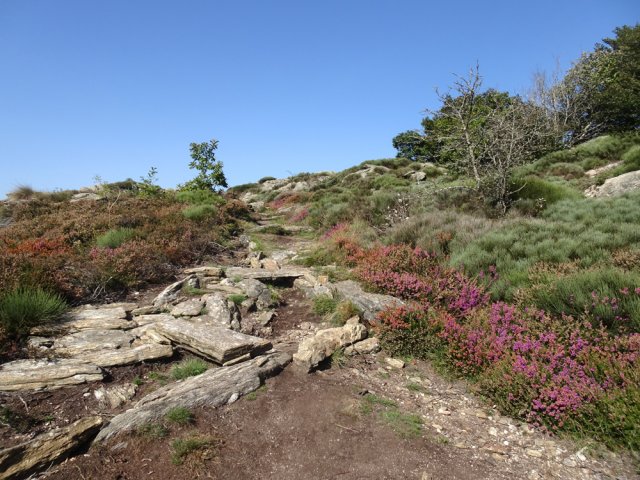 Début de la descente vers le Col des Bœufs