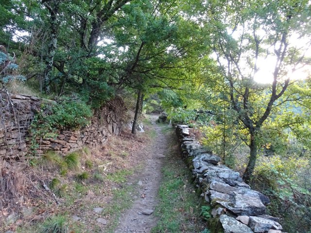Quelques murets de pierres sèches au début de la montée