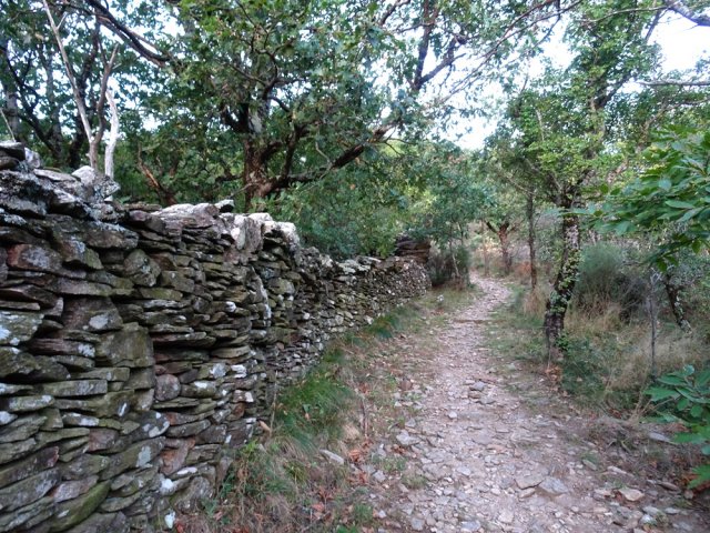 On longe également de longues murailles entourant d'anciens champs