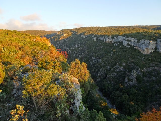 La vallée de la Cesse depuis le parking, au lever du soleil