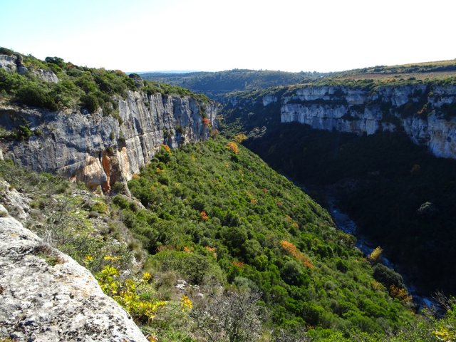 Une idée de la vallée depuis le haut de la falaise en rive gauche
