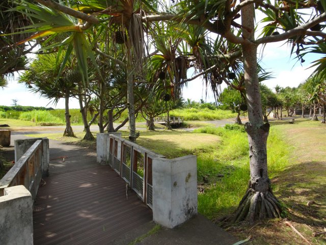 Ponton sur une minuscule ravine