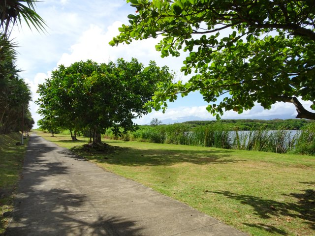 La piste parallèle mène au plus près du Petit Etang