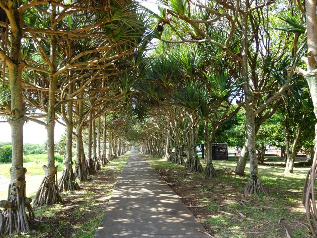 Remonter vers l'entrée en empruntant une autre allée ombragée, plus étroite