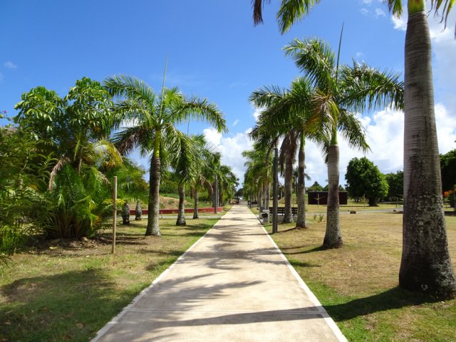 Repartir vers la mer par l'allée centrale