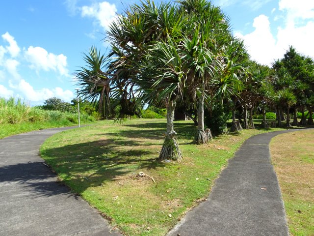 Possibilités de nombreuses bifurcations