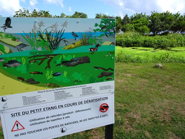 Petits étangs le long du littoral