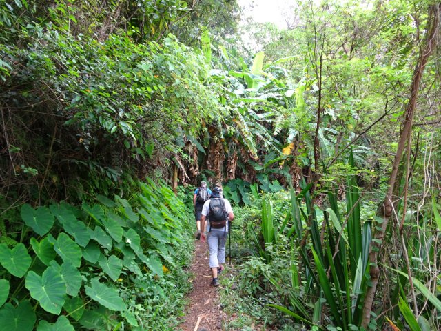Les deux tiers du sentier sont très faciles et en bon état