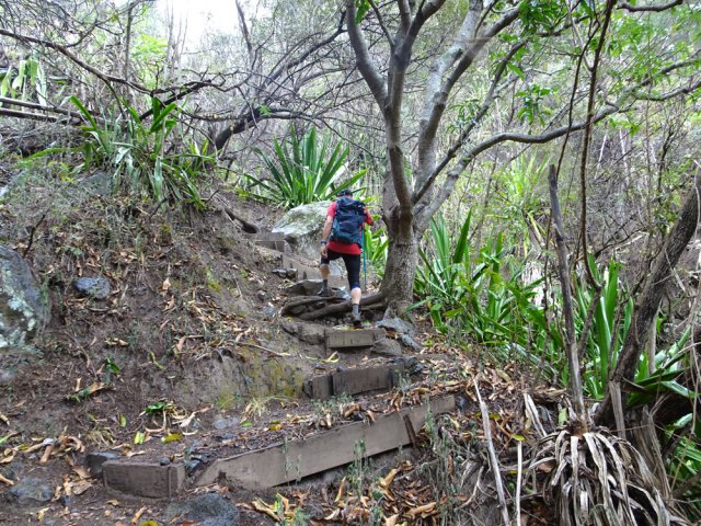 Le sentier y est étroit mais bien entretenu
