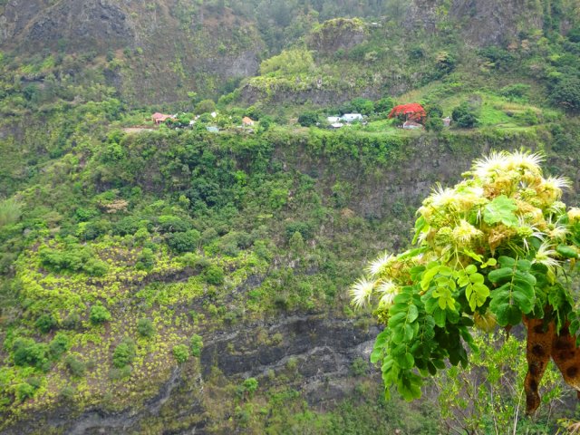 Cayenne, sur l'autre rive, repérable en décembre à son flamboyant
