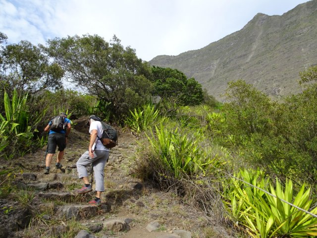 La montée est régulière sur les flancs du Piton Tortue