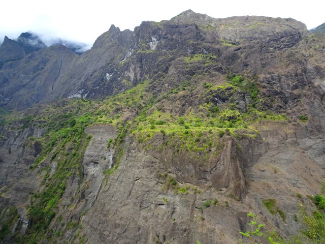 Essayer de repérer le sentier vers les Lataniers durant la descente à la Rivière des Galets
