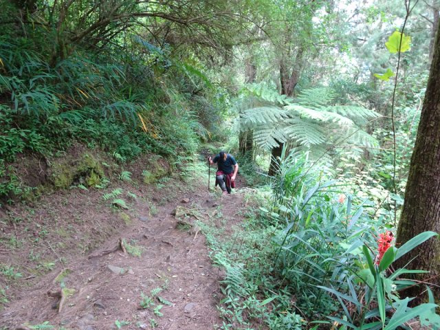 Sentier très agréable malgré la pente assez forte