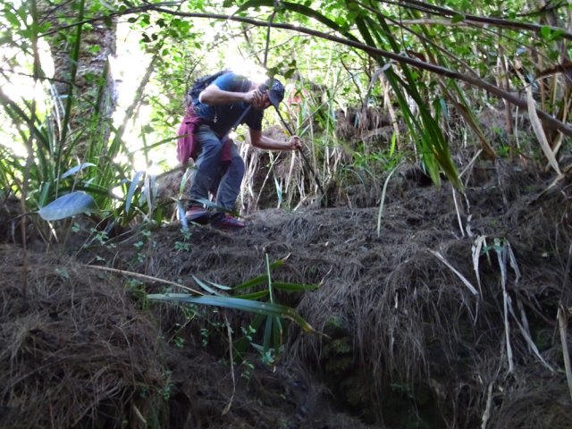 La pente débute après la borne, au dernier filaos en bordure de rempart