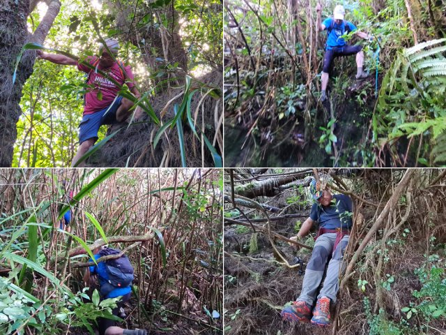 Le ton est très vite donné. Il est encore temps d'abandonner