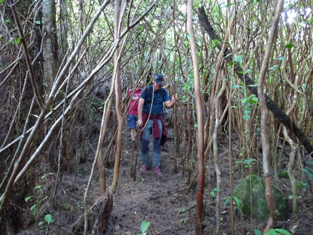 On retrouve quand même le passage plus net par endroits
