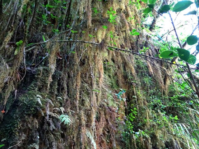 Une barre rocheuse à contourner après la descente de la ravine