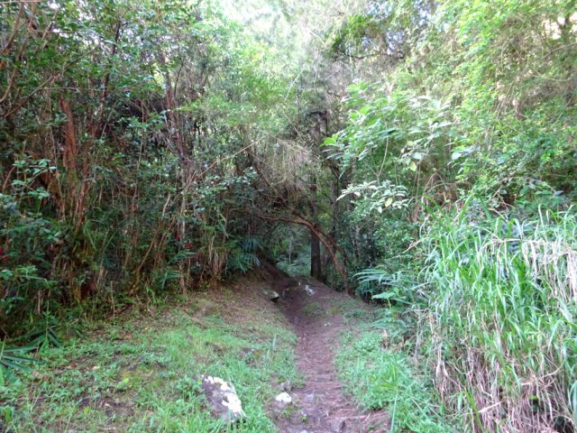 De rares portions plates et ombragées