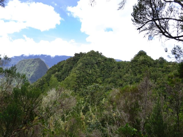 Point de vue sur le Piton Tambour dans la remontée vers les bambous de l'îlet