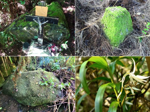 Rencontres variées et diverses durant la descente