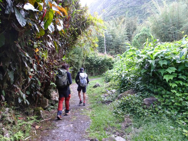 Légère descente pour franchir la Ravine Chouchou