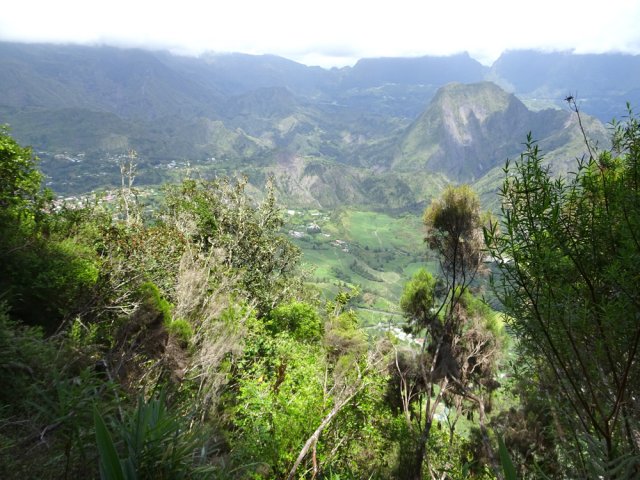 La Mare à Poule d'Eau dans les trouées de la végétation