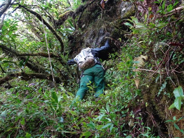 Derniers coup de rein sur le sentier retrouvé avant le haut du rempart