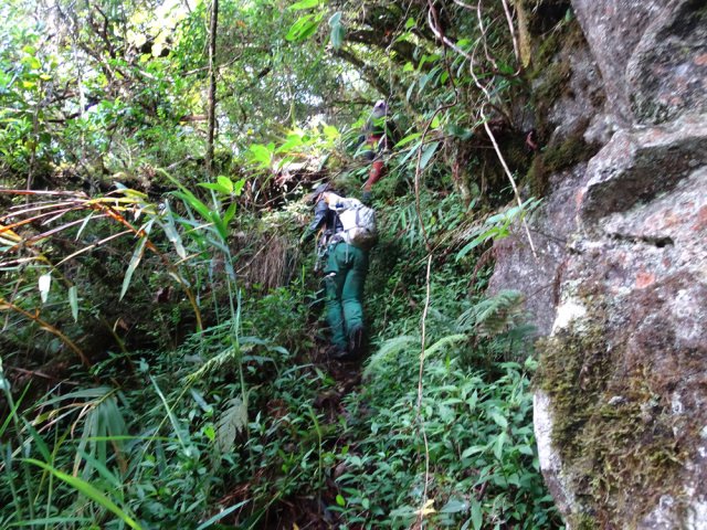 La trace reste visible sur de courtes distances