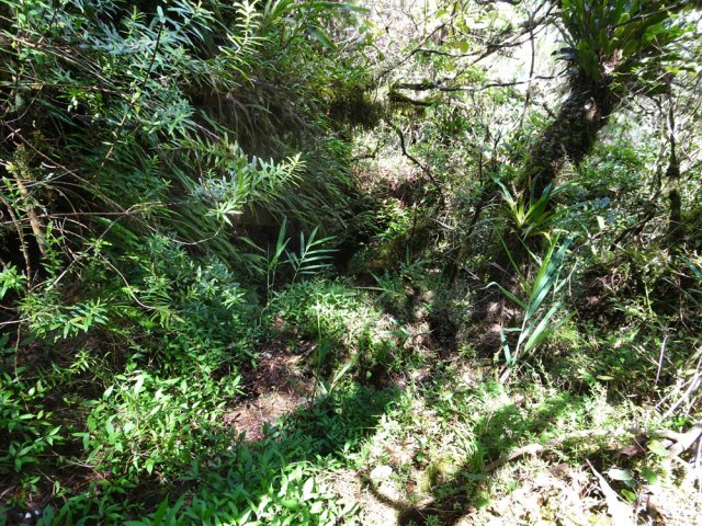 Bifurquer plein sud à partir de la Fenêtre sur un parcours plus fréquenté