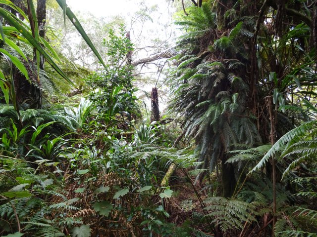 Le passage, bien caché, se suit cependant assez facilement