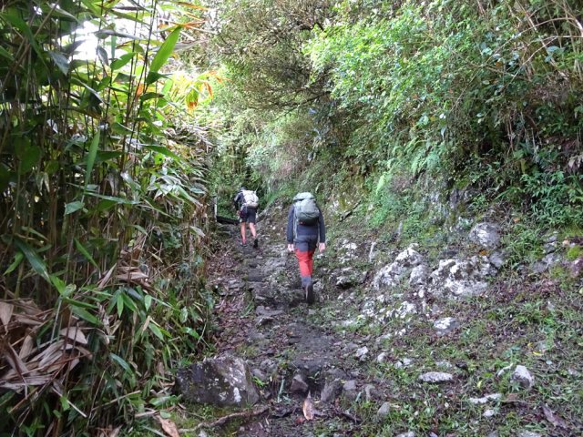 La montée est assez raide par moments mais sur un sentier de qualité