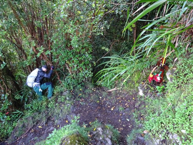 Le début du sentier lontan près de la croix Manoro