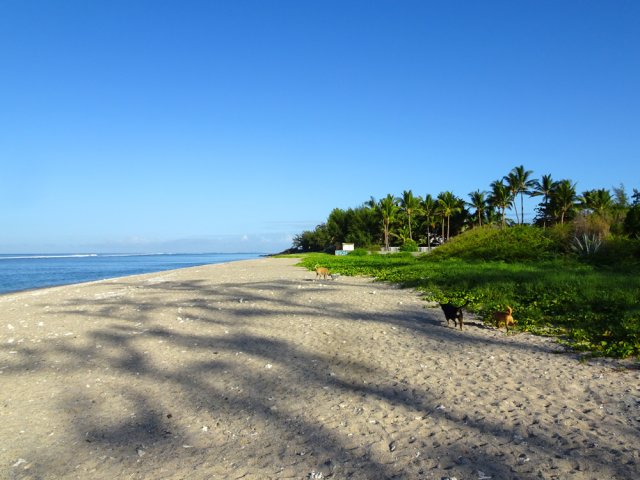 Pas de sentier au début, il faut marcher sur le sable