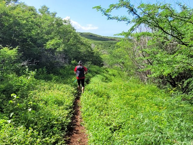 Partir à droite au point 112 pour descendre vers la RN1a