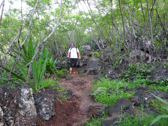 Forte descente dans les cassias et zépinards