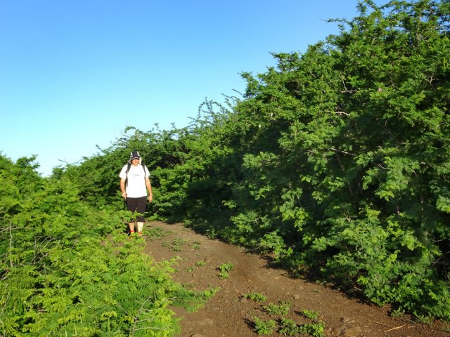 Plusieurs pistes permettent de rejoindre Bellevue