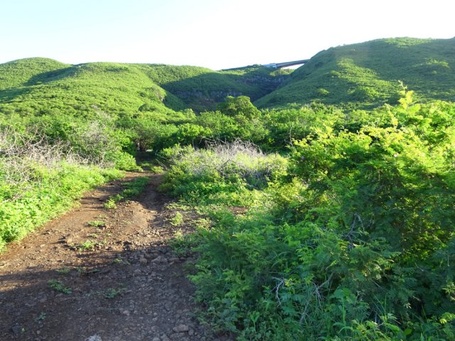 Une idée de la pente descendue dans la verdure