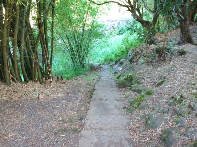 L'allée pavée descendant à la rivière