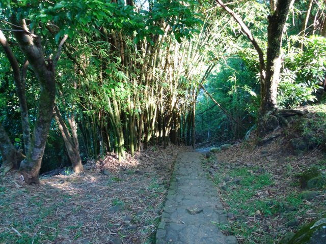 Nouvelle descente vers la rivière