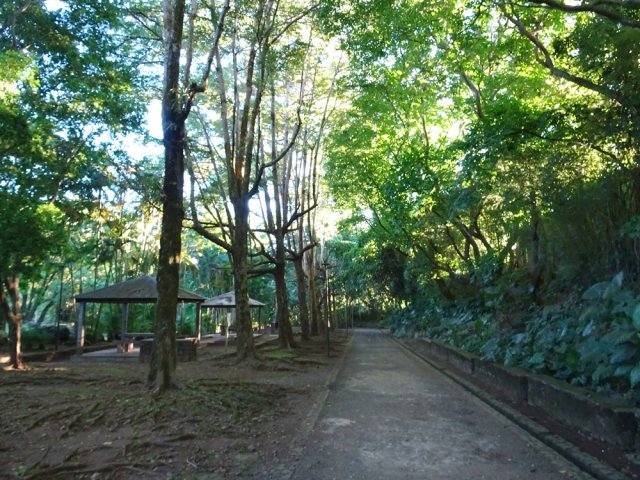 Déjà les première tables de pique-nique
