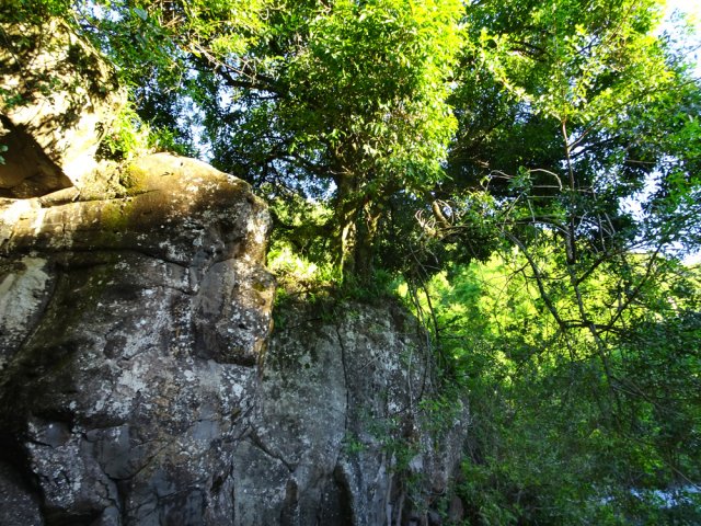 La petite falaise à escalader sans danger