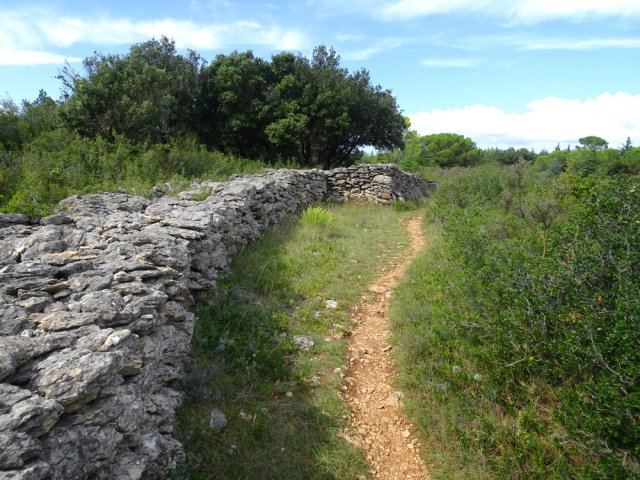 Des murs qui délimitaient certainement des parcelles