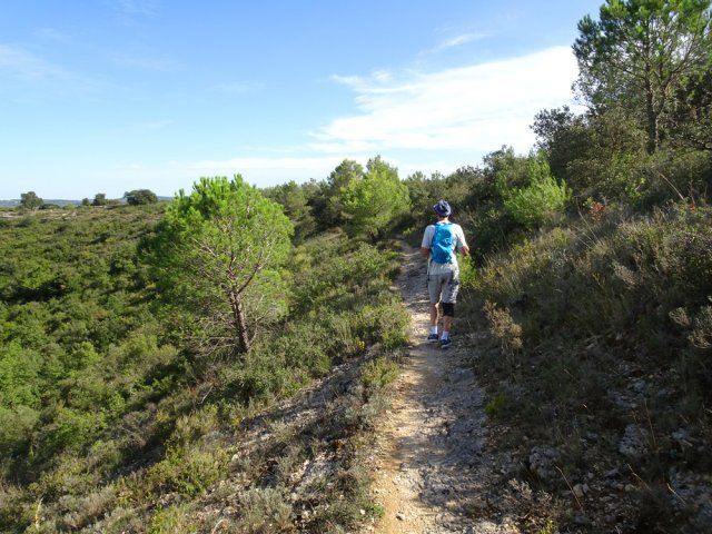 Le petit sentier en direction du point de vue