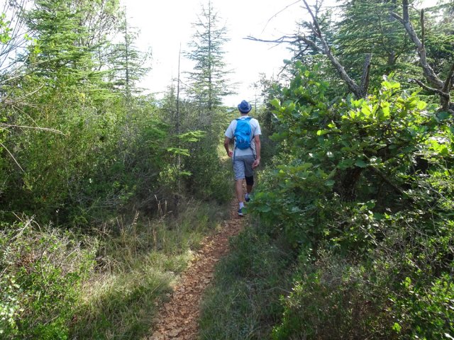 Un autre sentier entre les petites habitations