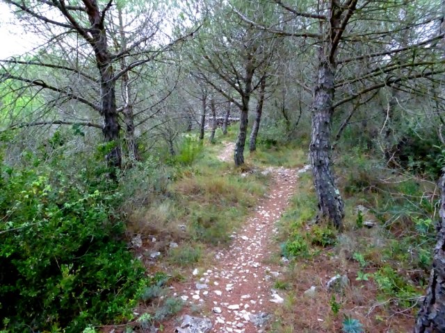 Les jonctions entre capitelles s'effectuent sur de très agréables sentiers.