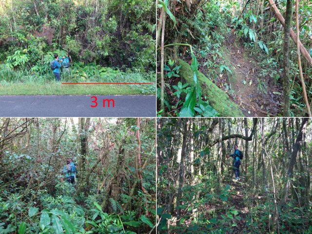 Sentier étroit, mais facile à suivre